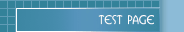 Test Page